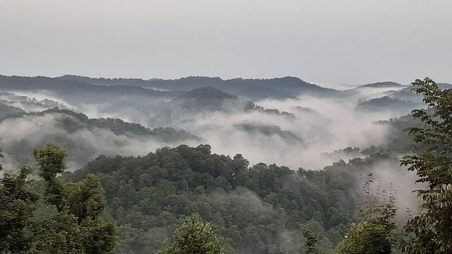 5446 KY 378, Vancleve, KY 41385