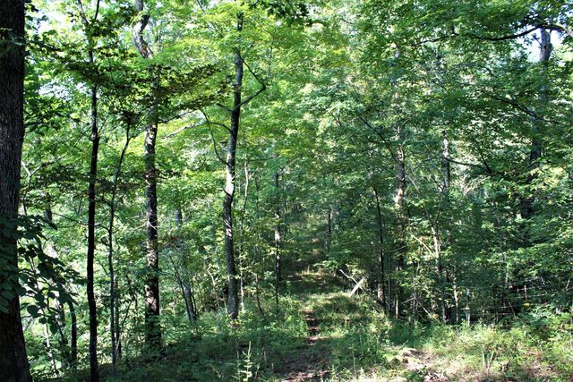 5446 KY 378, Vancleve, KY 41385