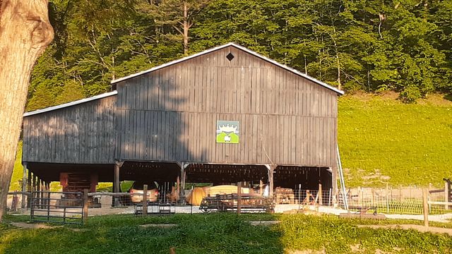 5446 KY 378, Vancleve, KY 41385