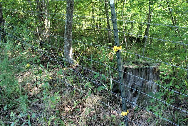 5446 KY 378, Vancleve, KY 41385