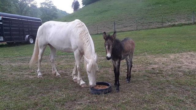 5446 KY 378, Vancleve, KY 41385