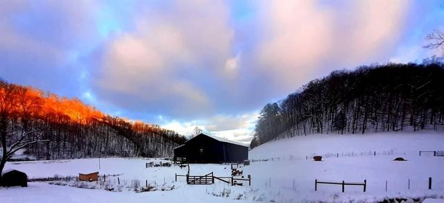 5446 KY 378, Vancleve, KY 41385