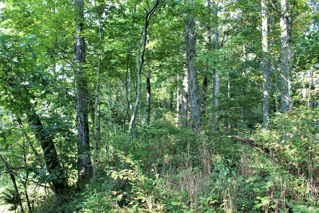 5446 KY 378, Vancleve, KY 41385