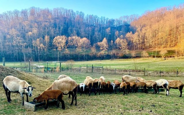 5446 KY 378, Vancleve, KY 41385