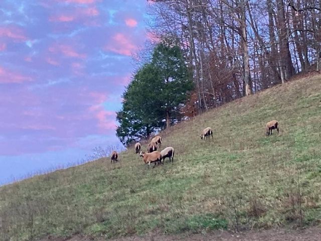 5446 KY 378, Vancleve, KY 41385
