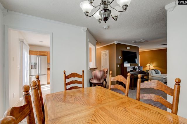 217 Caro Lane, Chapin, SC 29036