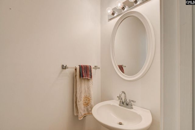 217 Caro Lane, Chapin, SC 29036