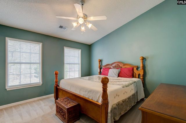 217 Caro Lane, Chapin, SC 29036