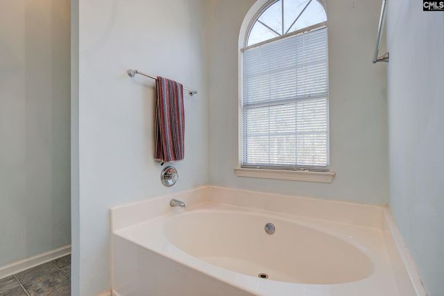 217 Caro Lane, Chapin, SC 29036