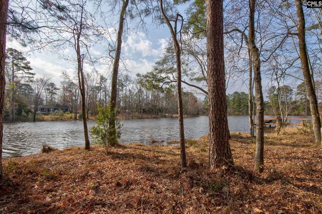 217 Caro Lane, Chapin, SC 29036