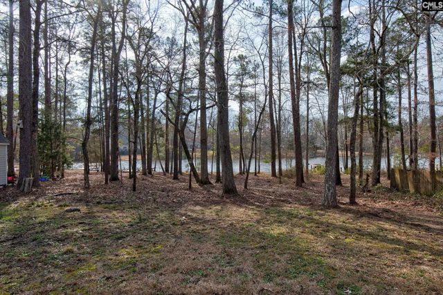 217 Caro Lane, Chapin, SC 29036