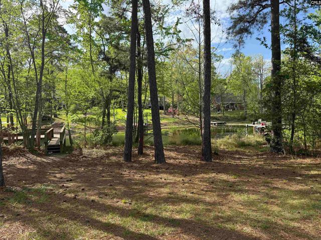 217 Caro Lane, Chapin, SC 29036