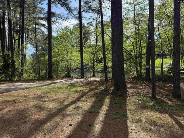 217 Caro Lane, Chapin, SC 29036