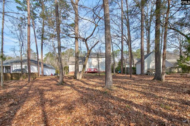 217 Caro Lane, Chapin, SC 29036