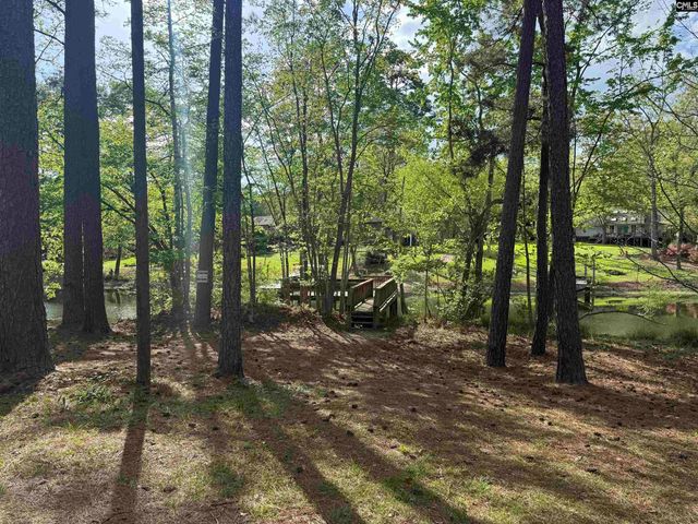217 Caro Lane, Chapin, SC 29036