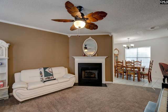 217 Caro Lane, Chapin, SC 29036