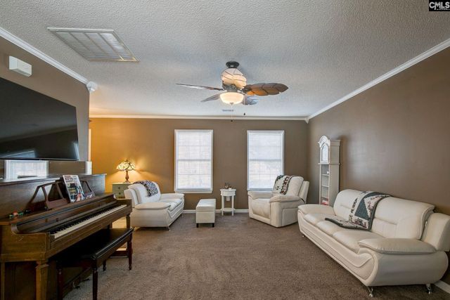 217 Caro Lane, Chapin, SC 29036