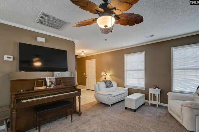 217 Caro Lane, Chapin, SC 29036