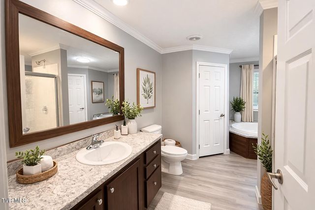 10 Unaka Drive, Mosheim, TN 37818