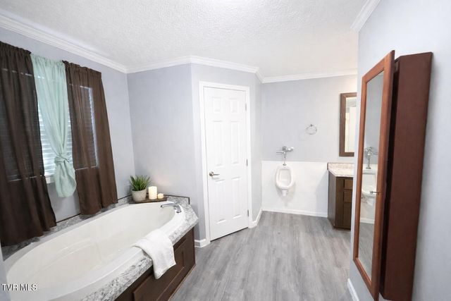 10 Unaka Drive, Mosheim, TN 37818