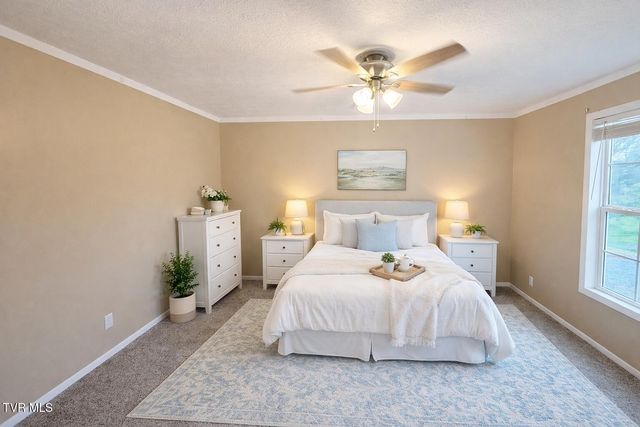 10 Unaka Drive, Mosheim, TN 37818