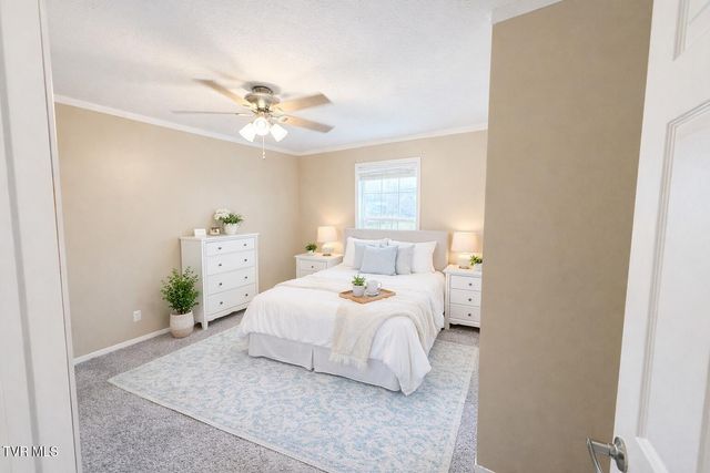 10 Unaka Drive, Mosheim, TN 37818