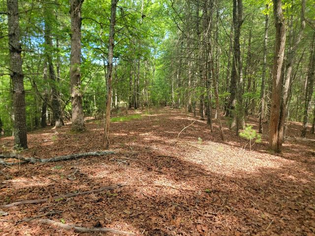 Lot 44 Sugar Maple Lane, Murphy, NC 28906