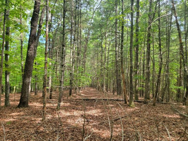 Lot 44 Sugar Maple Lane, Murphy, NC 28906