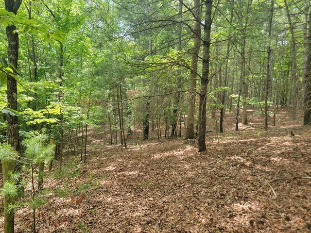 Lot 44 Sugar Maple Lane, Murphy, NC 28906