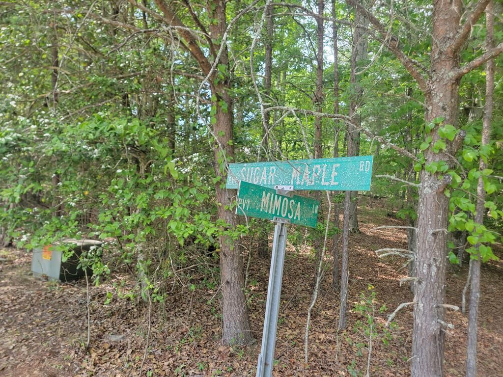 Lot 44 Sugar Maple Lane, Murphy, NC 28906