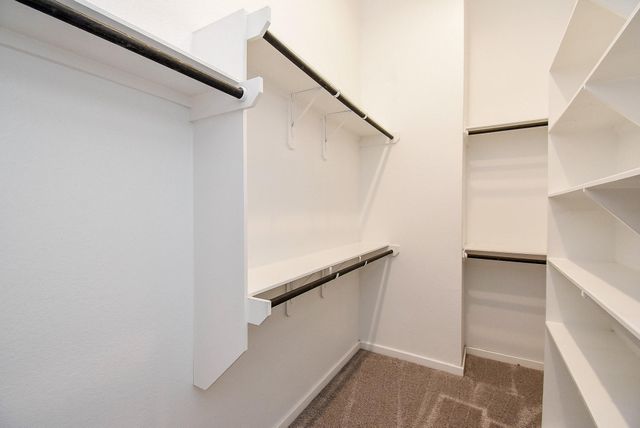 1567 Rustling Creek Drive, Missouri City, TX 77459