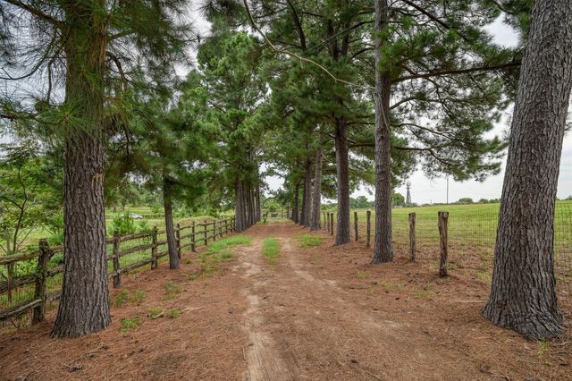 777 Cardinal DR, Paige, TX 78659