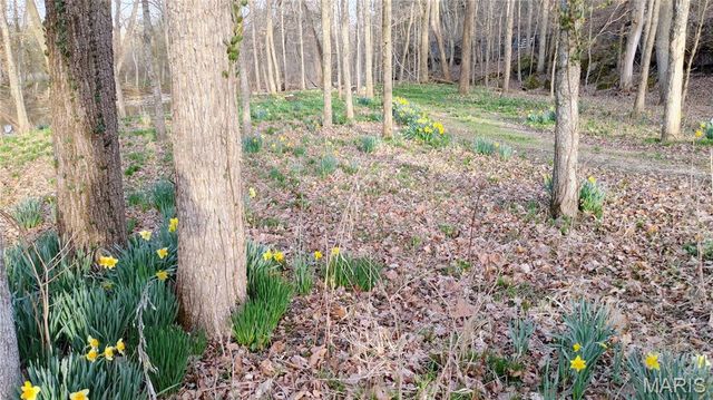 4828 Whitehead Road, Hillsboro, MO 63050