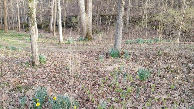 4828 Whitehead Road, Hillsboro, MO 63050
