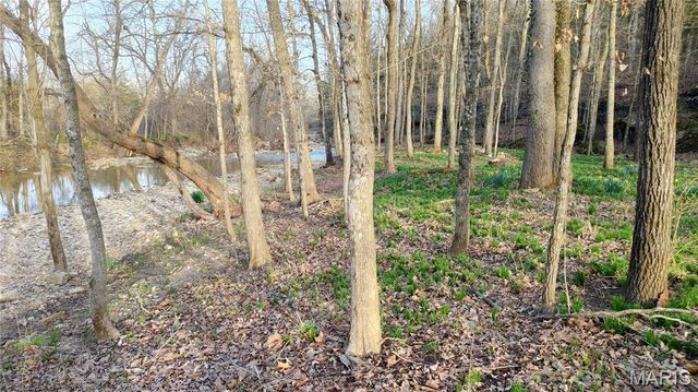 4828 Whitehead Road, Hillsboro, MO 63050