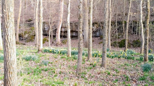 4828 Whitehead Road, Hillsboro, MO 63050