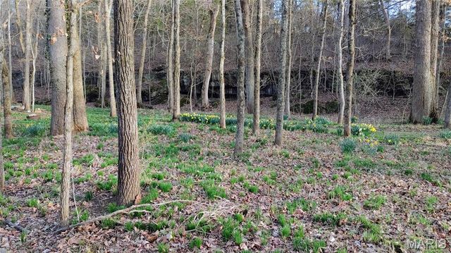 4828 Whitehead Road, Hillsboro, MO 63050