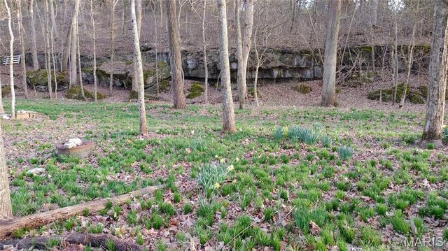 4828 Whitehead Road, Hillsboro, MO 63050
