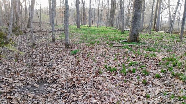 4828 Whitehead Road, Hillsboro, MO 63050