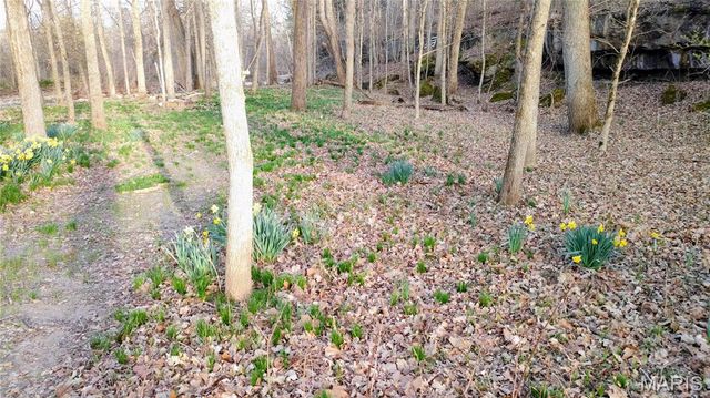 4828 Whitehead Road, Hillsboro, MO 63050