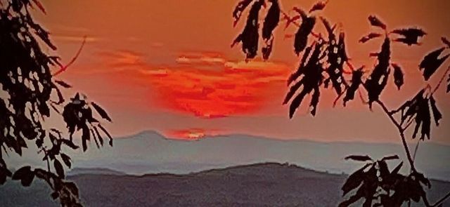 1688 Mulberry Circle, Jasper, GA 30143