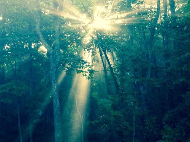 1688 Mulberry Circle, Jasper, GA 30143