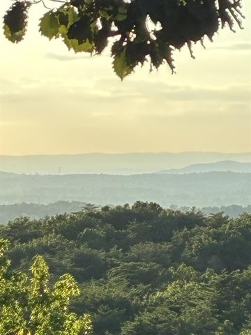 1688 Mulberry Circle, Jasper, GA 30143