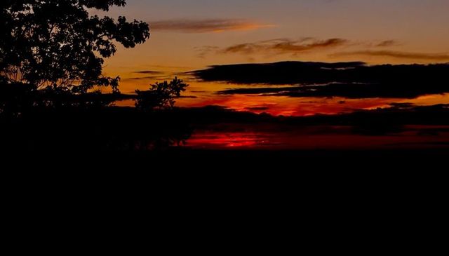 1688 Mulberry Circle, Jasper, GA 30143