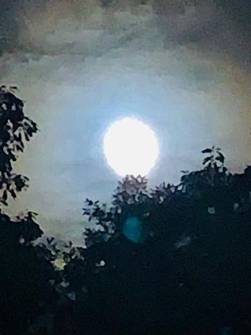 1688 Mulberry Circle, Jasper, GA 30143