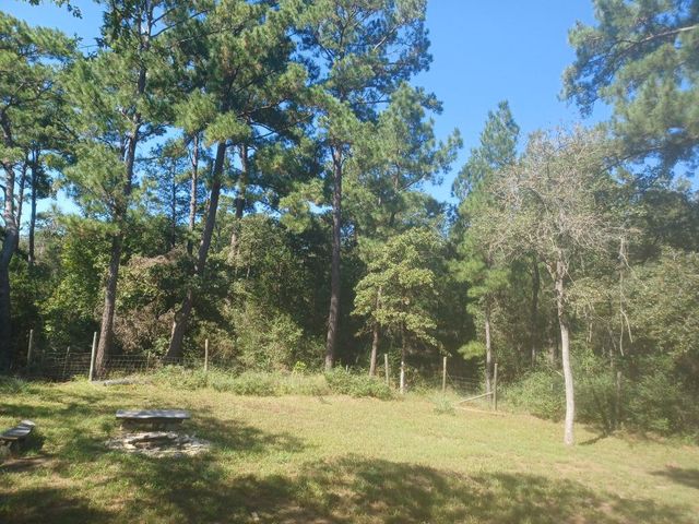 172 Pine Canyon DR, Smithville, TX 78957