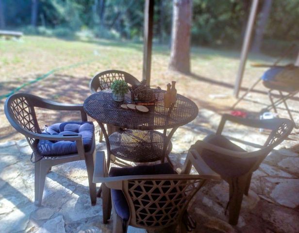 172 Pine Canyon DR, Smithville, TX 78957