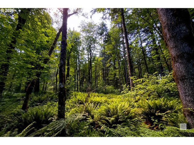 23380 Se HOWLETT Rd, Eagle Creek, OR 97022
