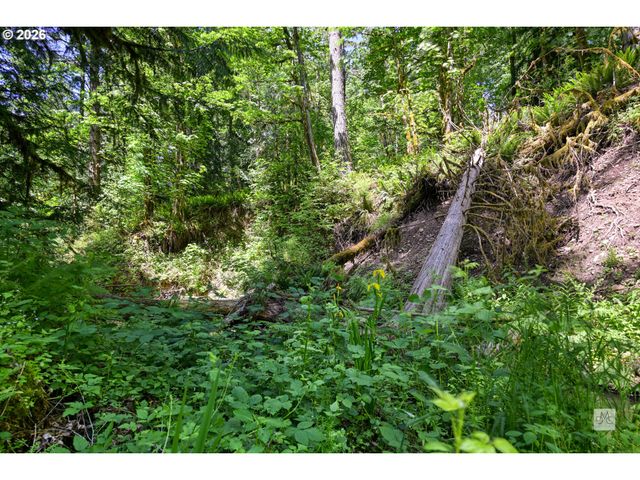 23380 Se HOWLETT Rd, Eagle Creek, OR 97022