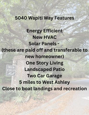 5040 Wapiti Way, Hollywood, SC 29449